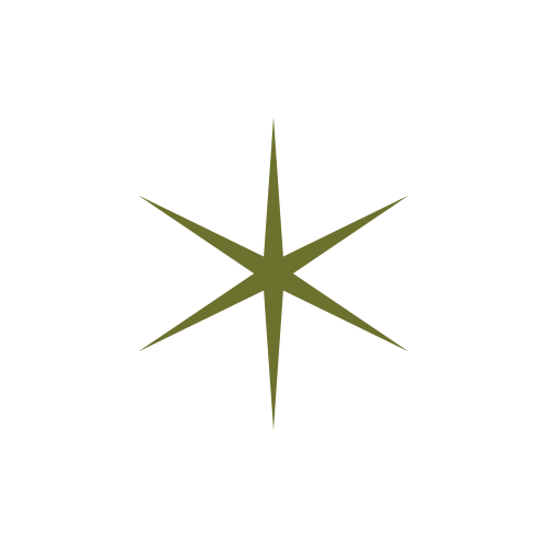 A green graphic star illustration. 