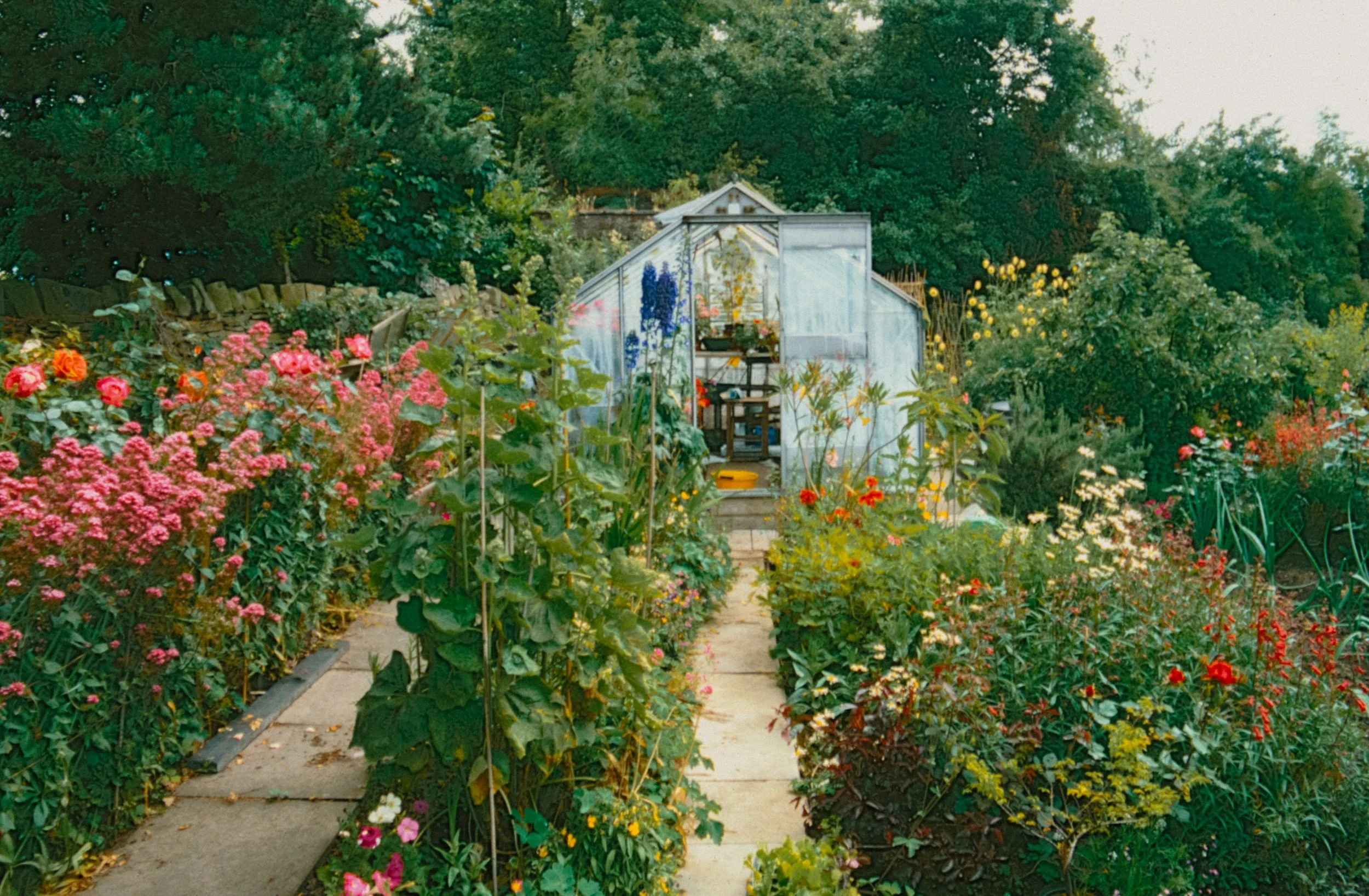 A vibrant garden with colorful flowers leading to a greenhouse surrounded by lush green trees.