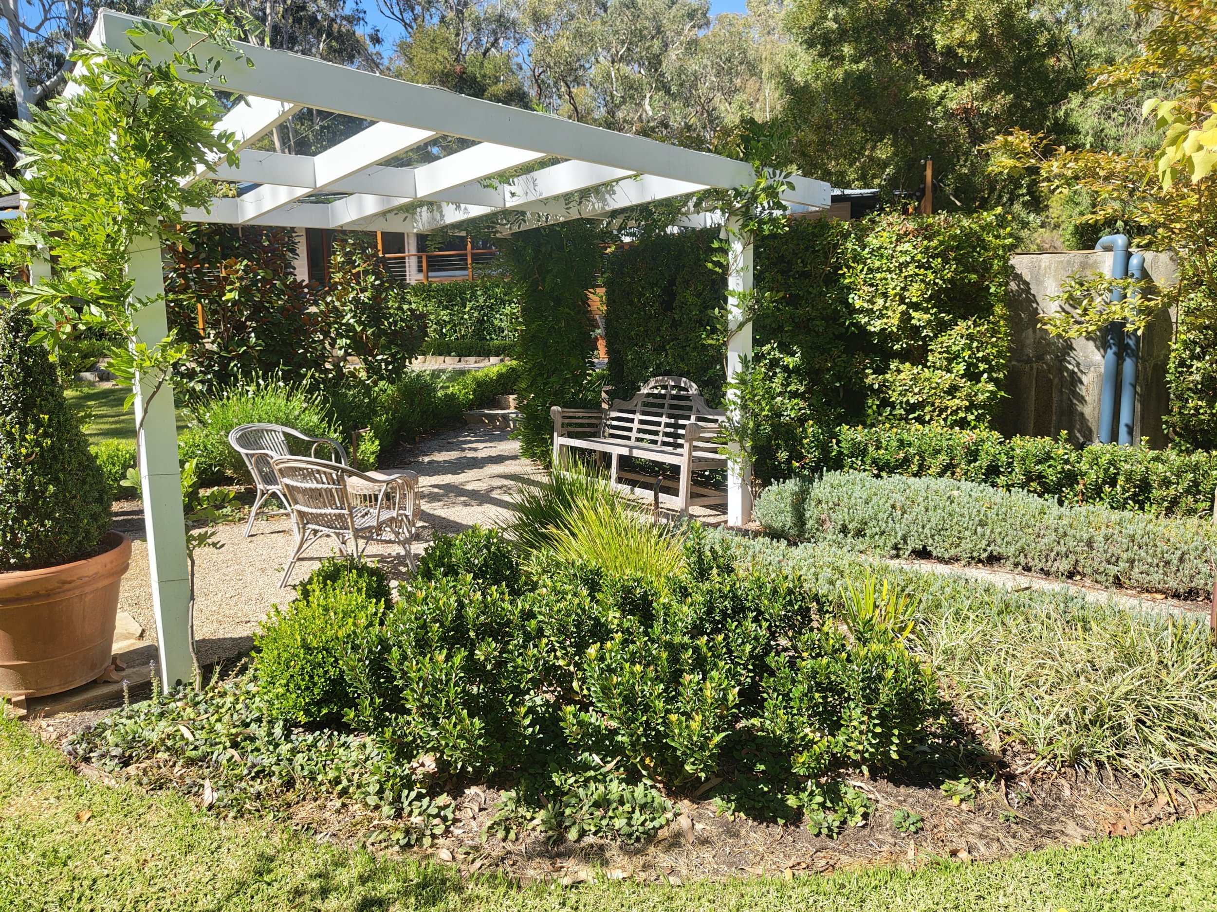 A well-maintained garden patio with a white pergola, outdoor chairs, benches, lush green plants, bushes, and trees under clear bright sky.