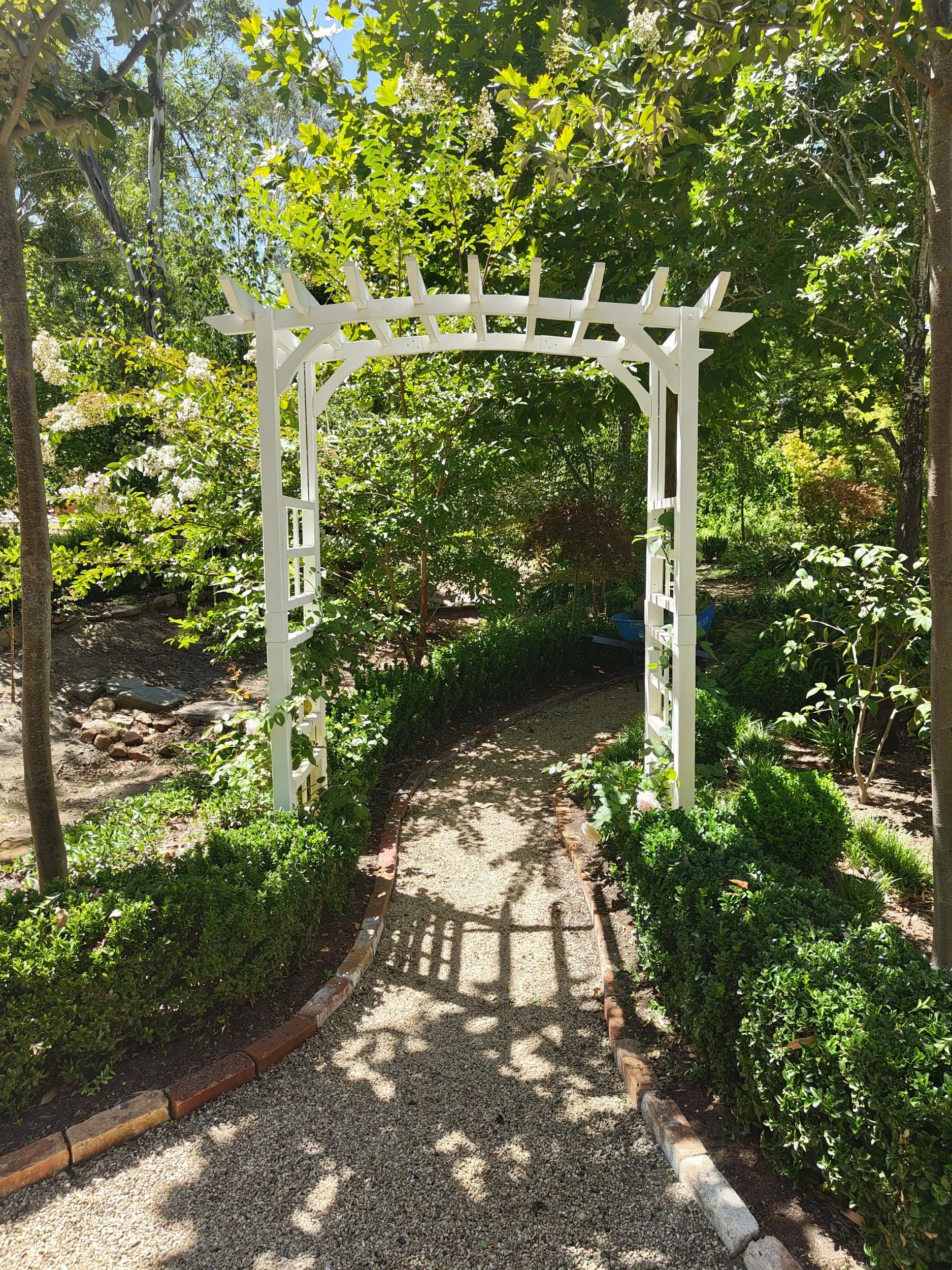 White garden arbor with lattice sides and a trellis top, situated over a gravel pathway, surrounded by lush green bushes and trees on a sunny day.
