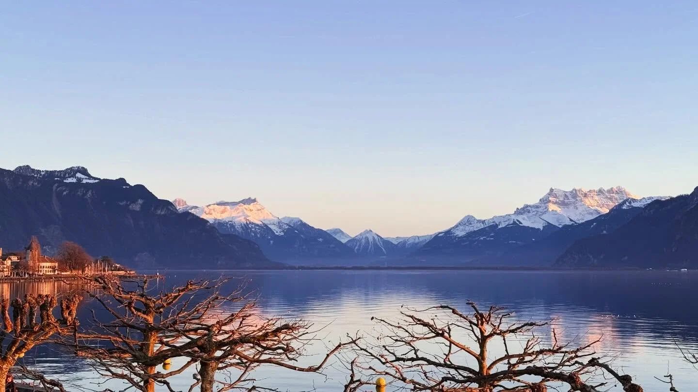 1 Night - 2 Festival Launches!
🚀 Bravo to @septembremusical and @wempully for programming such varied and visionary festivals. 👏 Congratulations, @mischadamev and @guillaumehersperger! 🇨🇭🎹@hoteltroiscouronnes @hemu_haute_ecole_de_musique @etat_d