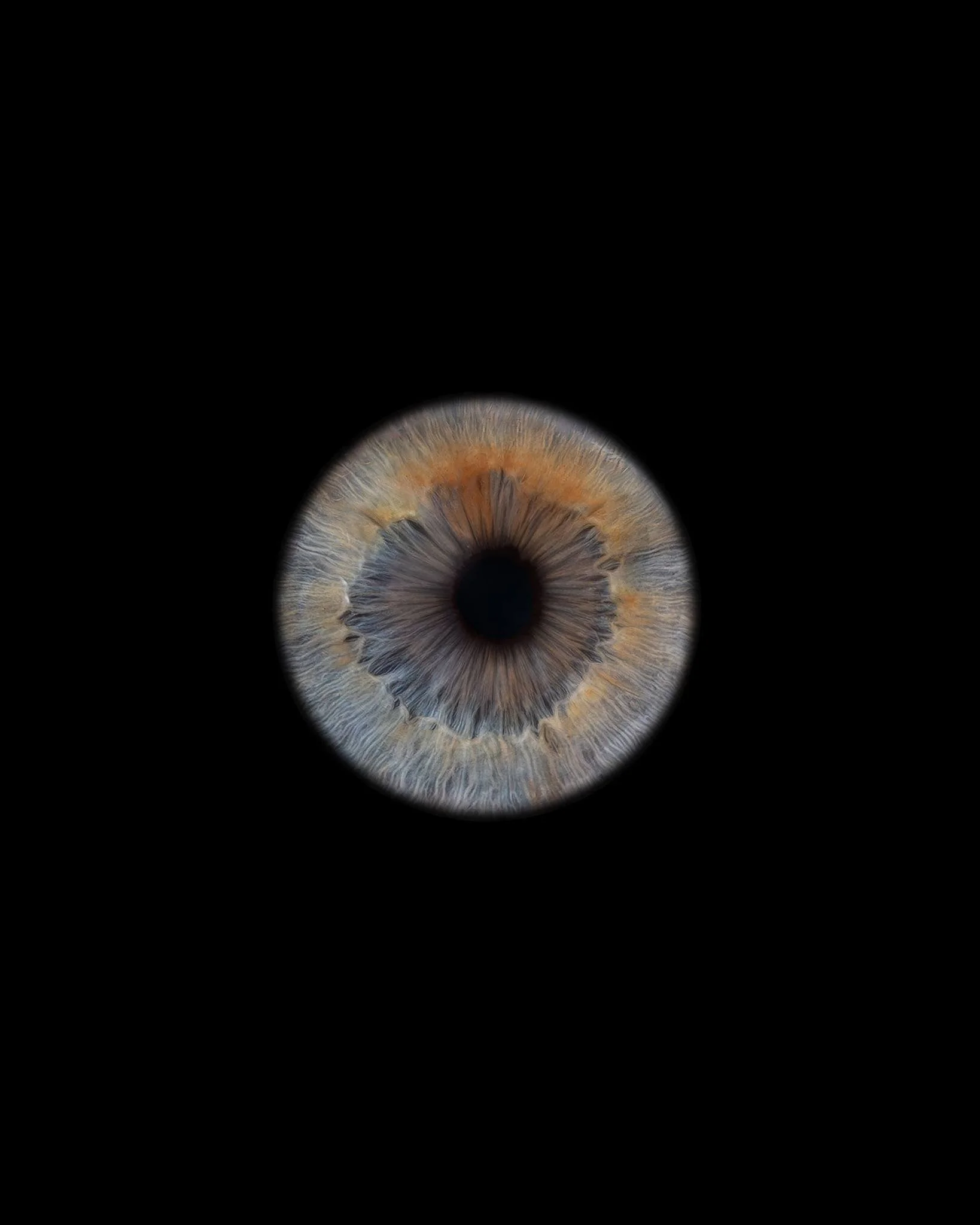 The astonishing photography from the @vizualeyesleeds studio &ndash; and an example of their &lsquo;lightning effect&rsquo; artwork.

⚡️Created by a team of skilled artists, their artwork uses the iris as a starting point to create something beautifu