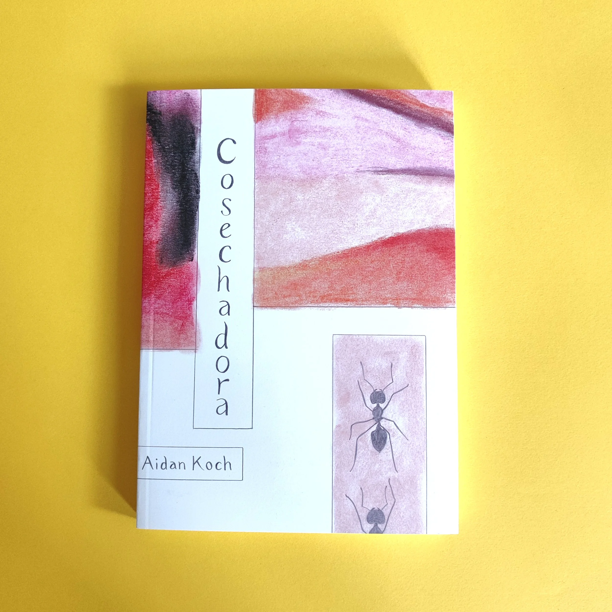 COSECHADORA - AIDAN KOCH