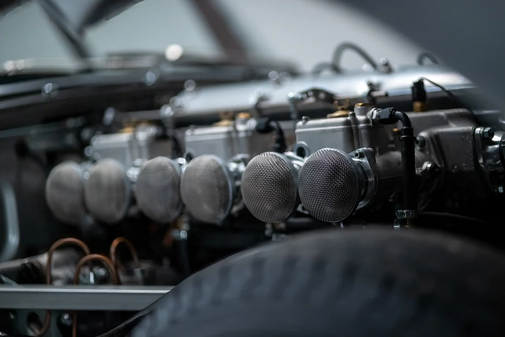 Fuel Injection — Panache Classic