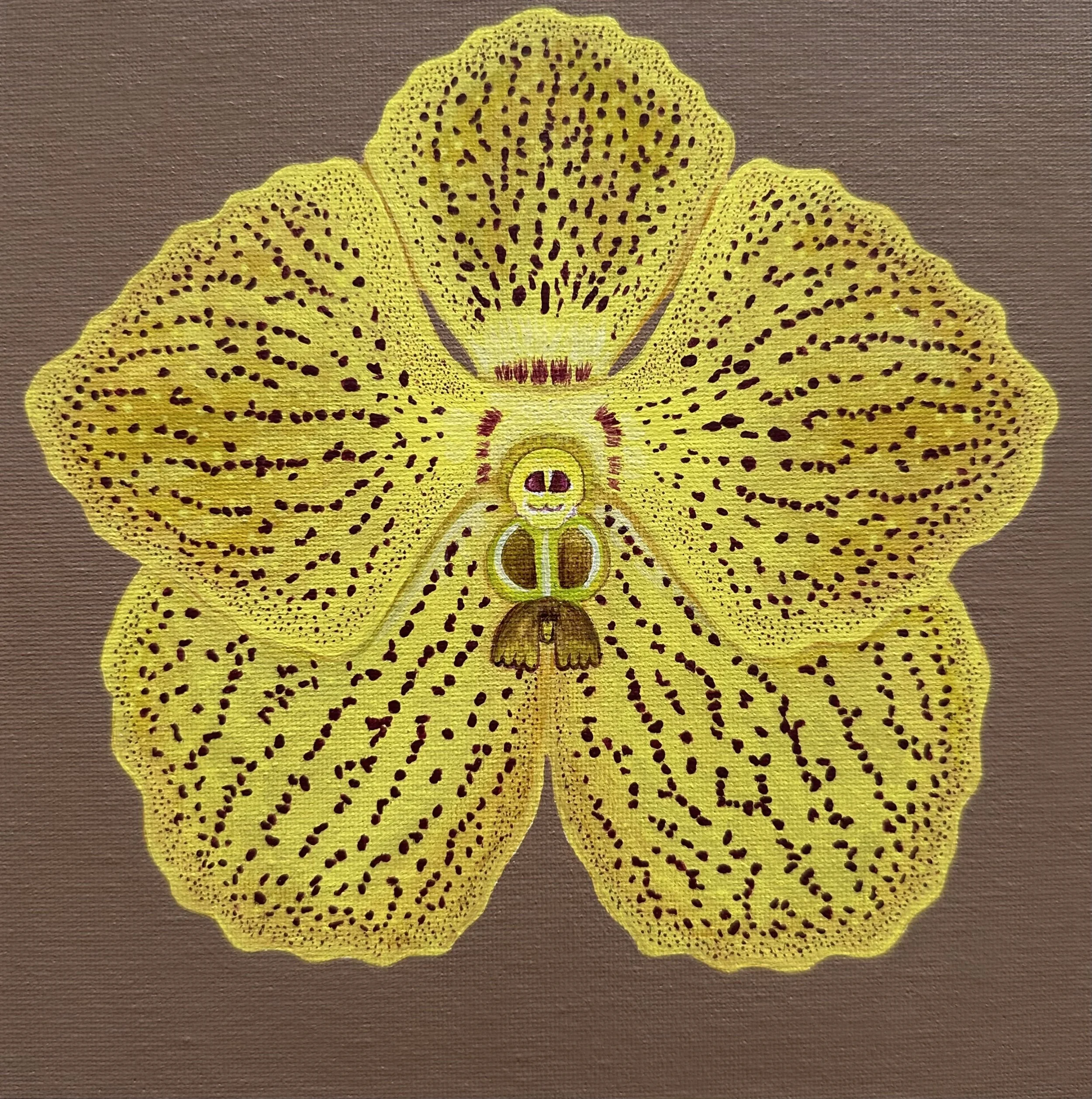 Mr Orchid (We are a Family)