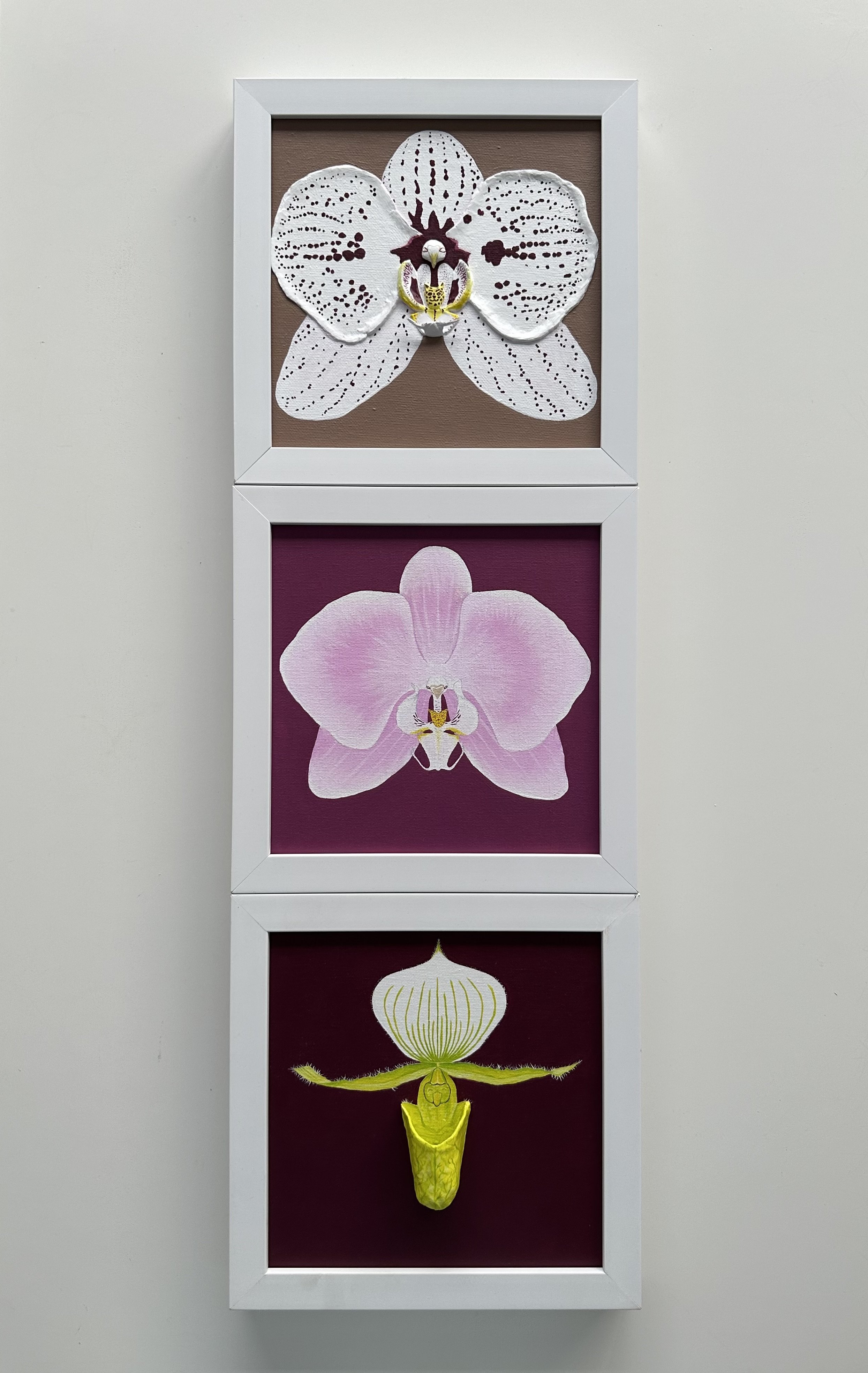 A three-dimensional art piece of three orchid illustrations stacked vertically, each framed, with the top orchid having white petals with black spots, the middle orchid being light pink, and the bottom orchid yellow with green accents, designed with realistic textures and details.