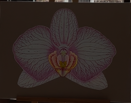 Screenshot 2026-01-09 at 14.46.51.png