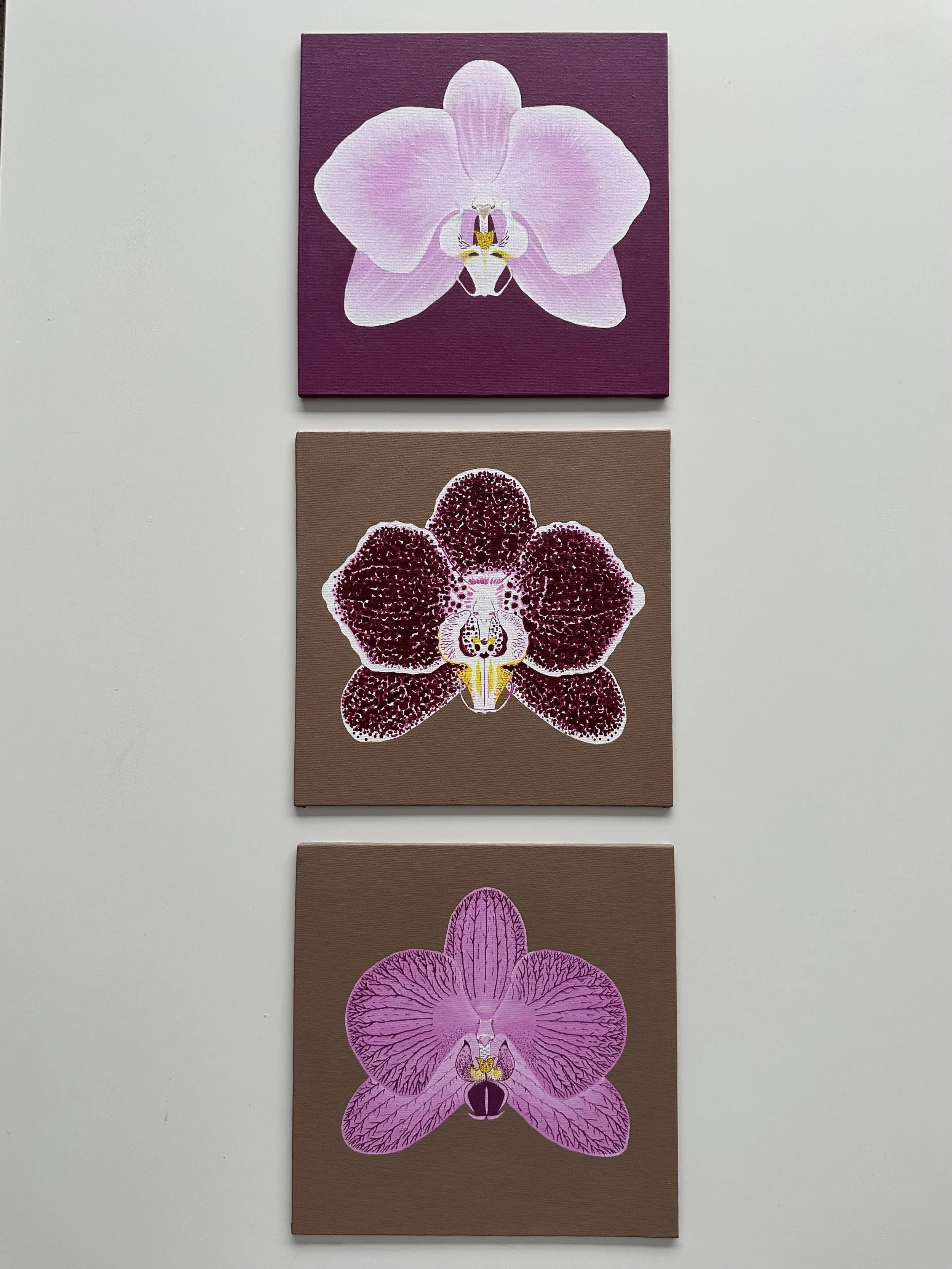 Three botanical illustrations of orchids, each separated by a small gap. The top orchid has large, light pink petals on a purple background. The middle orchid features dark red, speckled petals on a tan background. The bottom orchid displays wide, deep pink petals on a tan background.