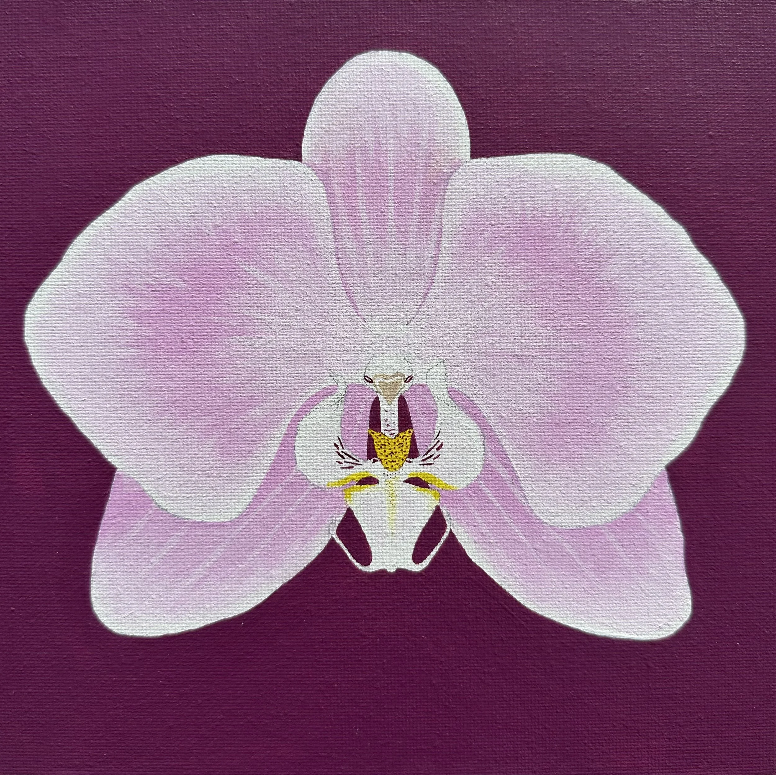 pink orchid