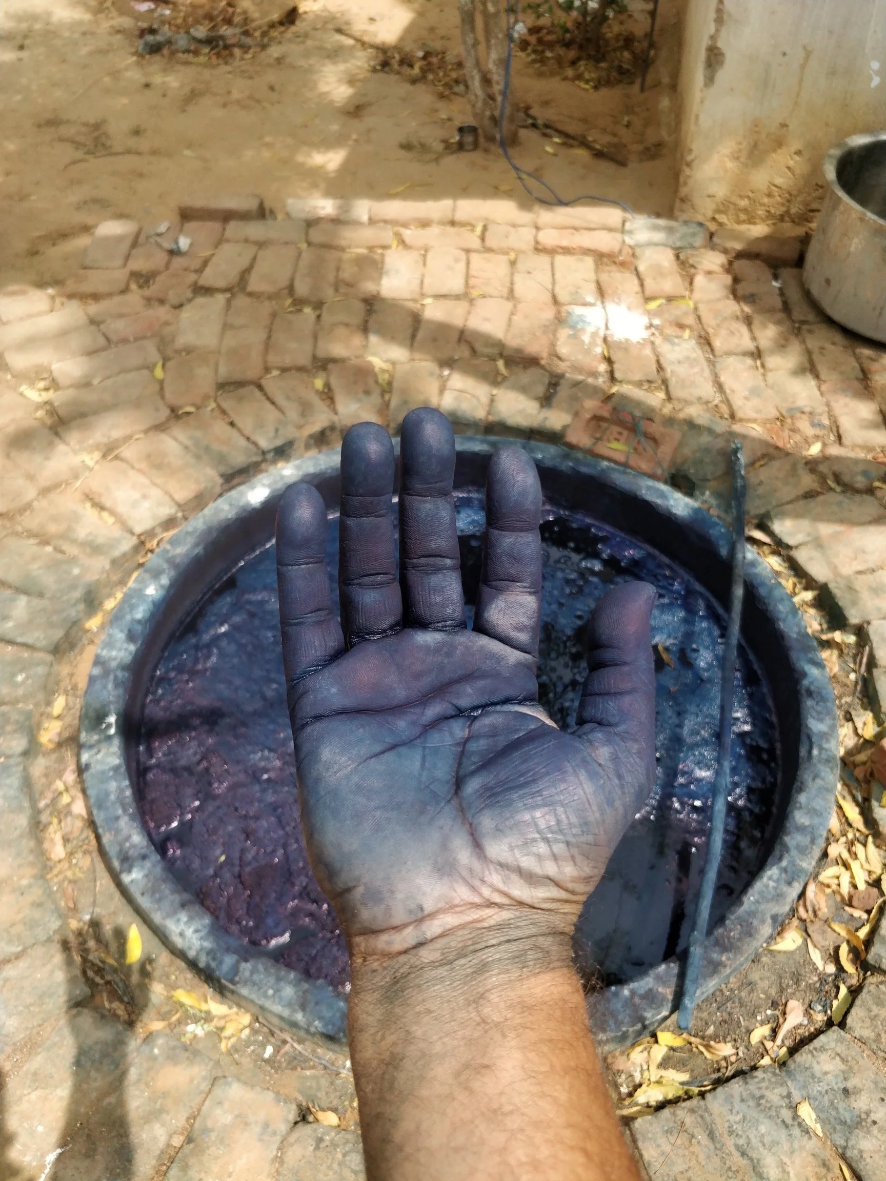 Hand covered in natural indigo dye of a Rajasthan based artisan