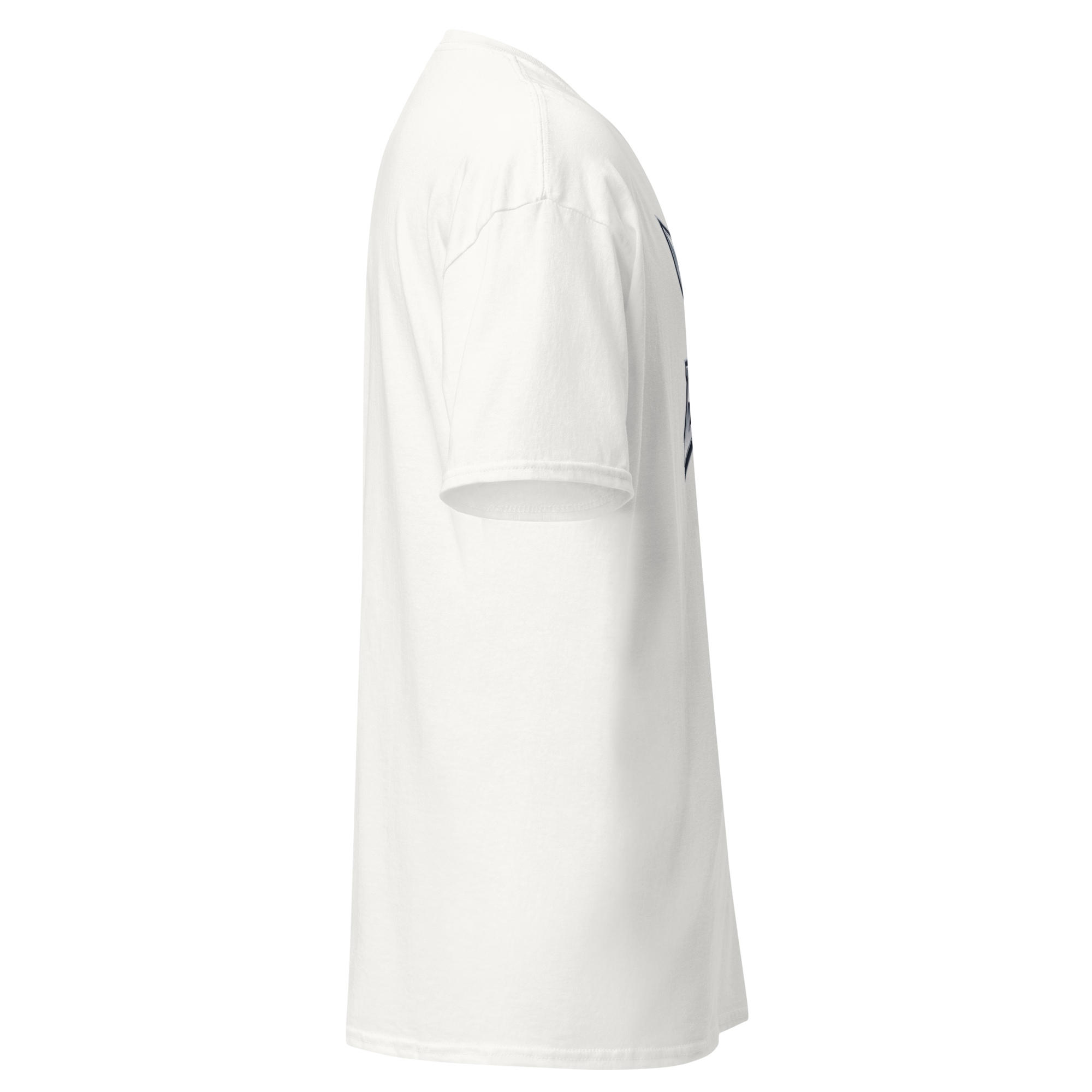 unisex-classic-tee-white-right-6aaac653585ec.png