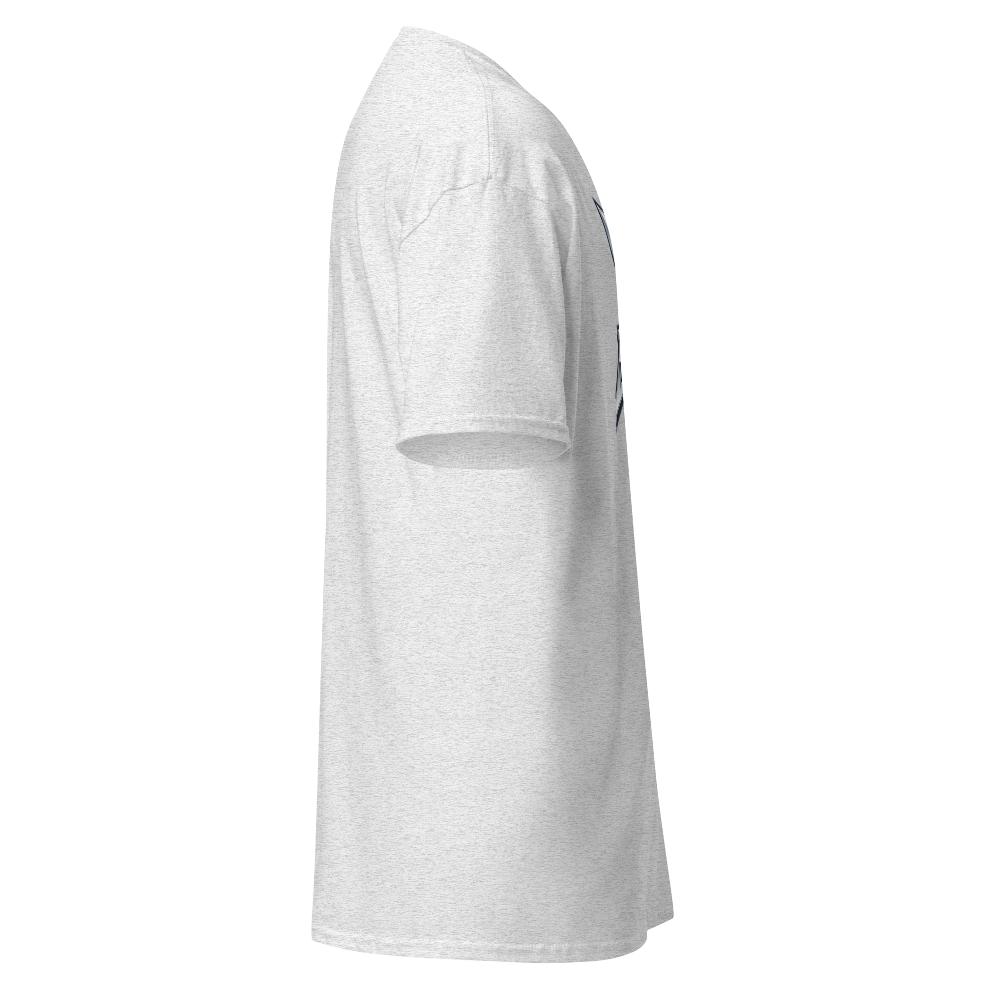 unisex-classic-tee-ash-right-6aaac65358457.png