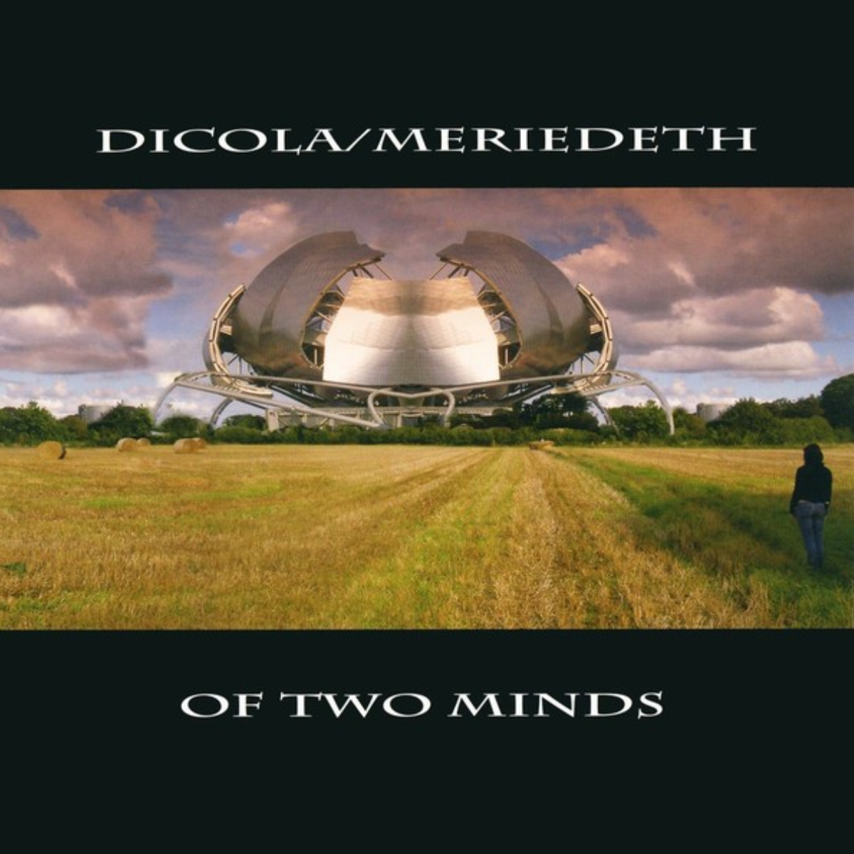 DiCola/Meriedeth "Of Two Minds" front cover — artwork by Andrew Wildman
