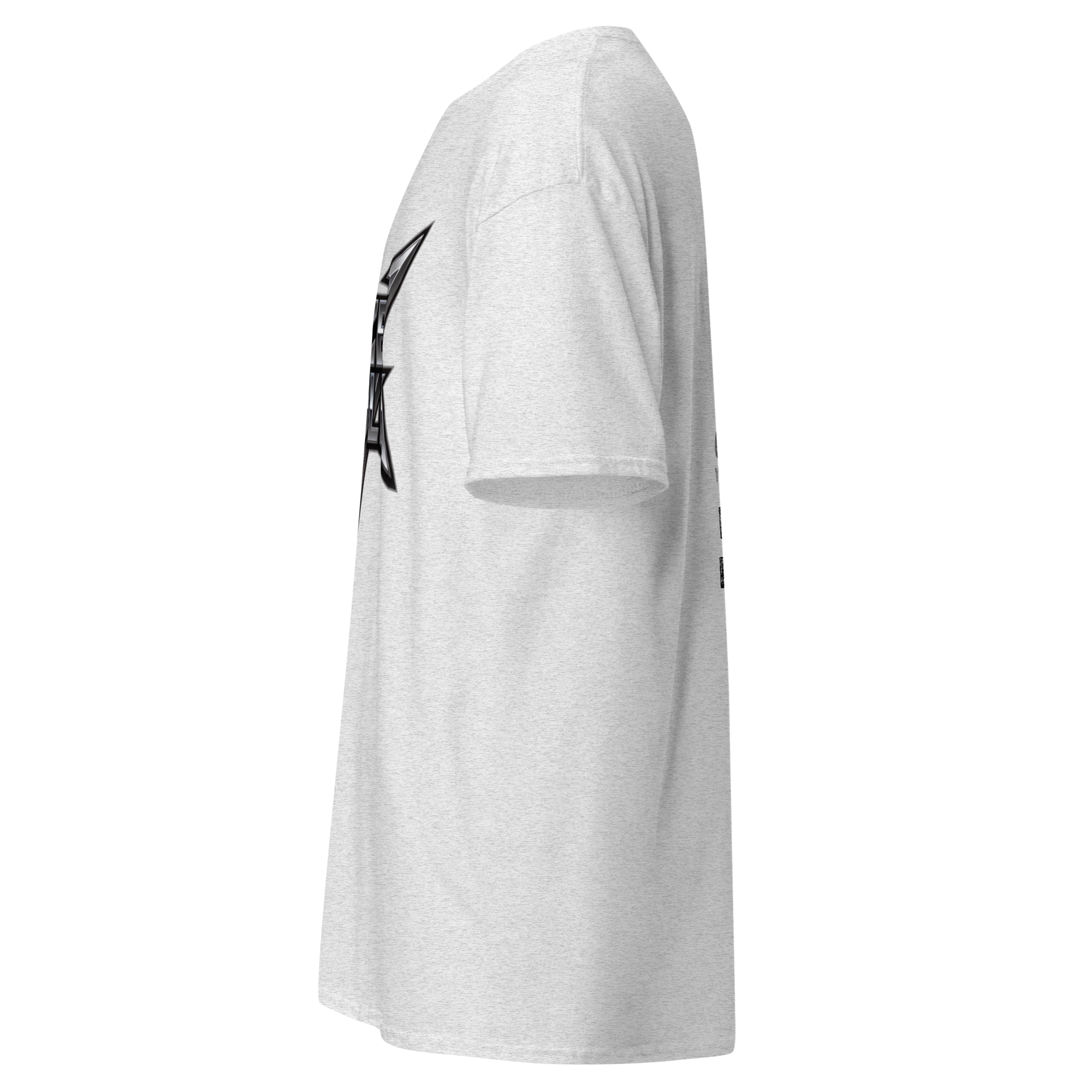 unisex-classic-tee-ash-left-6aaac65358799.png