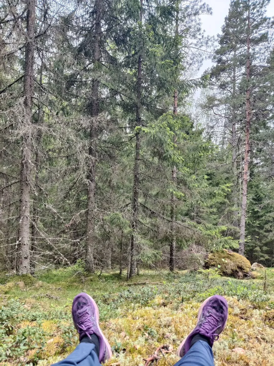 I&rsquo;ve been taking a break. Healing, calming down my nervous system, and hearing myself more clearly.

Sometimes the best decision of your life is just to go and lie in the moss 💚

This is your sign to ease up a little if you've been holding on 