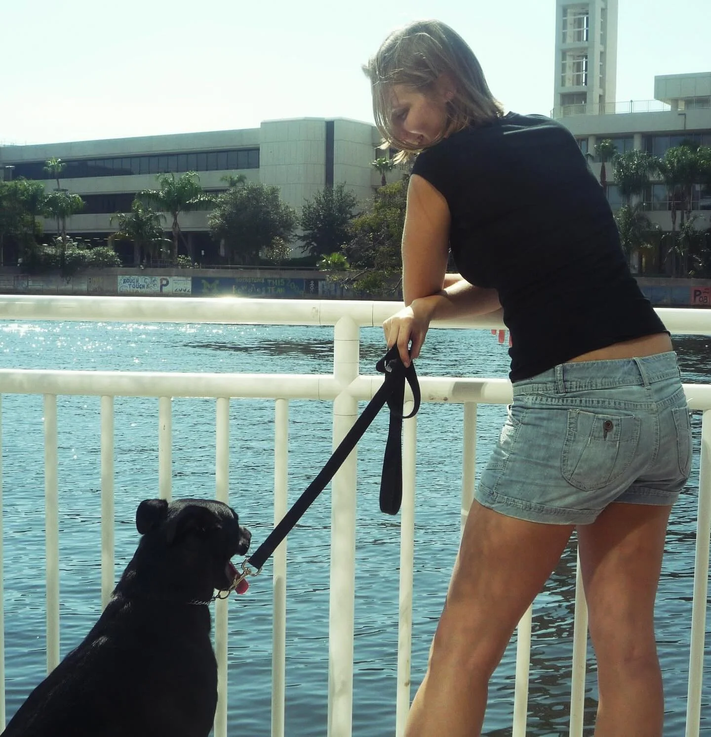 There&rsquo;s a little bit of someone I love in every story I write. Sadie was the original Bear.
I hope one day you get to meet her.

#writersofinstagram #amwri̇ti̇ng #speculativefiction #TheThingsWeWouldBear #notadogstory #stay