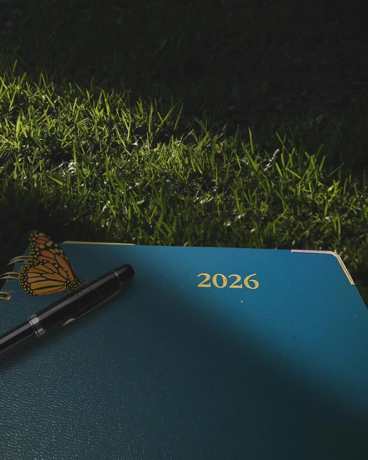 New year. New planner.

New possibilities.

#amwri̇ti̇ng #writersofinstagram #startsomethingnew