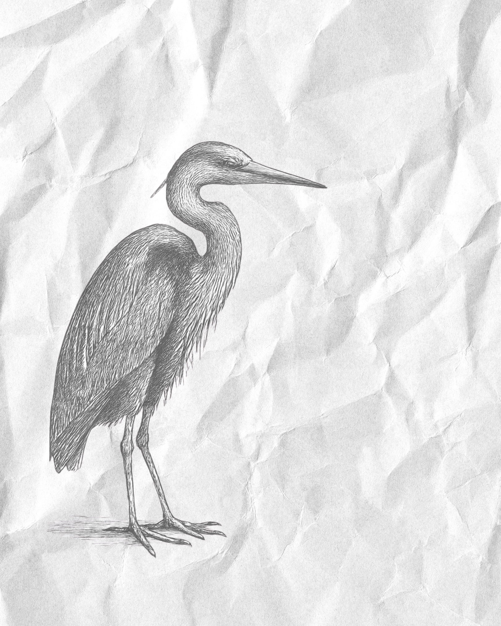 A Bird Speaks of Aesop