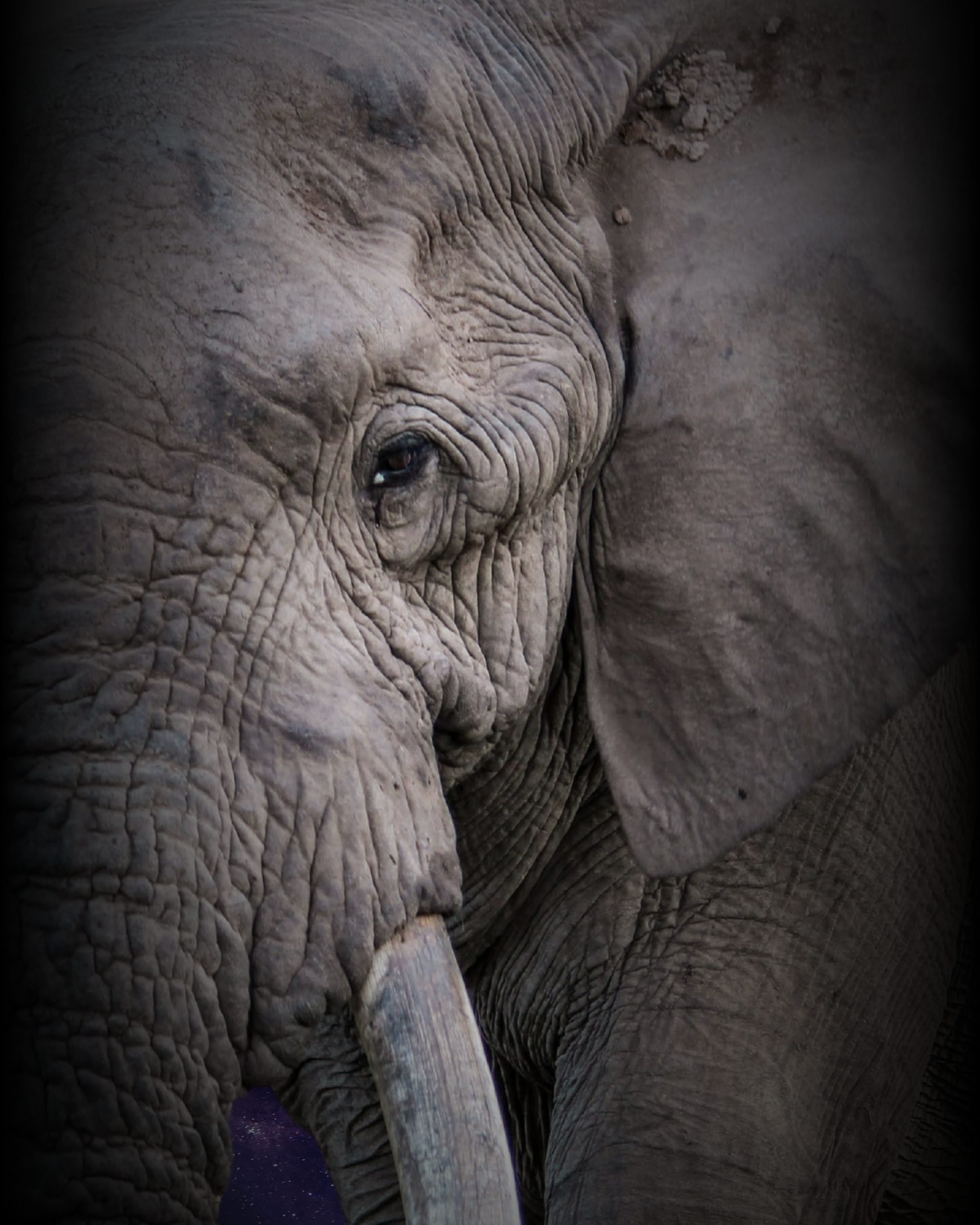 The Things We Would Carry