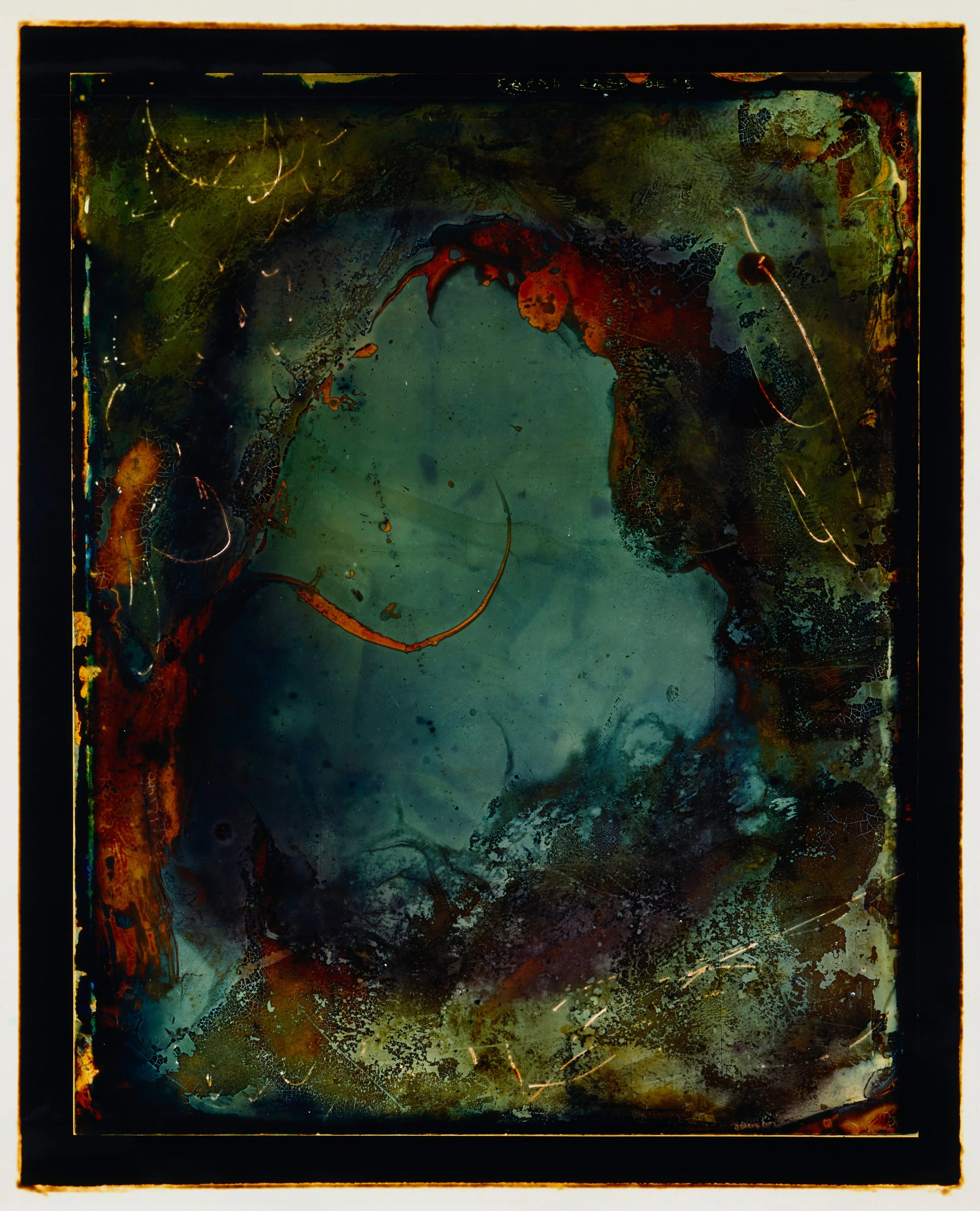   The Last Moult   2025, Chromogenic hand-print from film on Kodak Endura gloss, 131 x 104.5cm.&nbsp; 