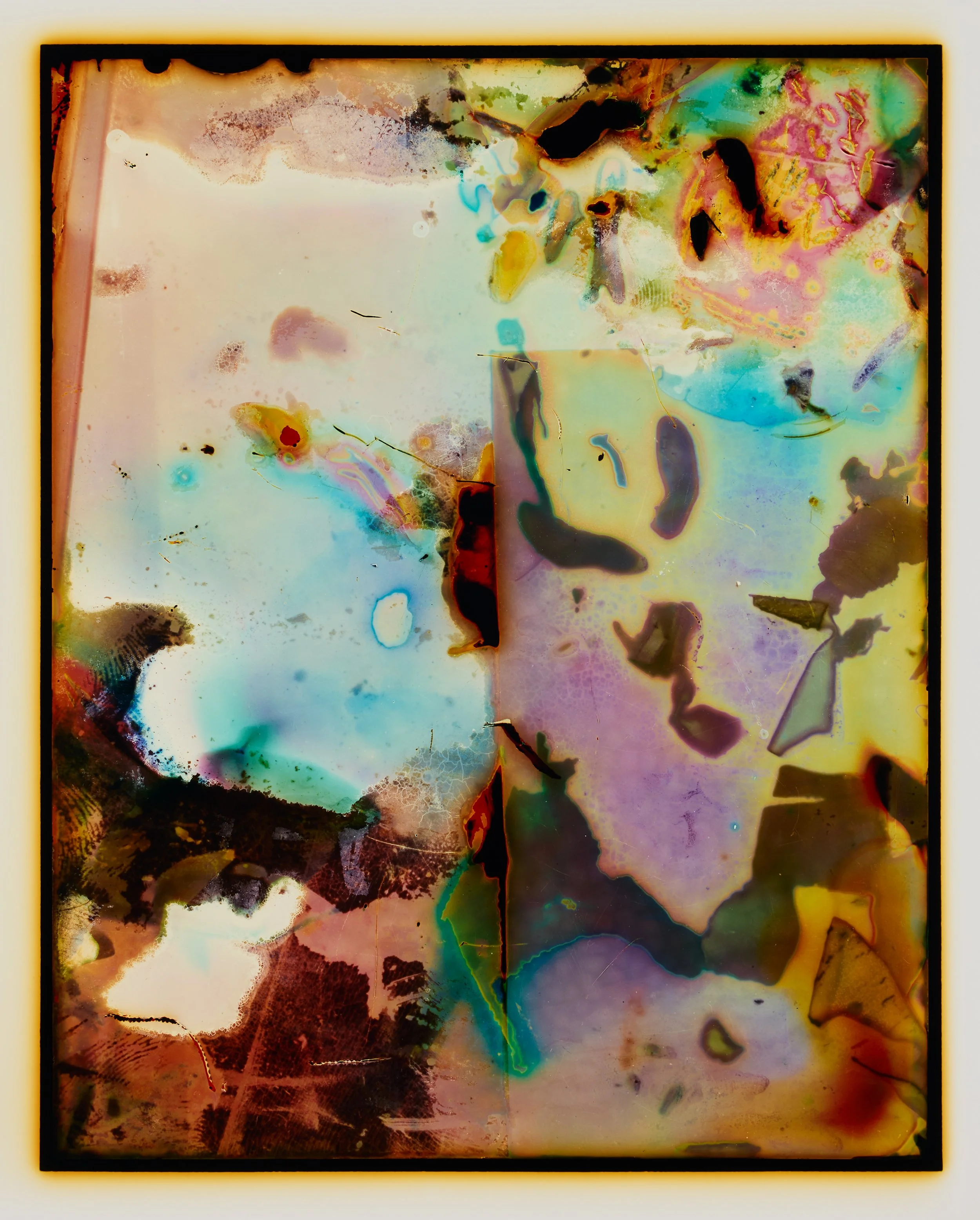 Incubation (76 Hours)