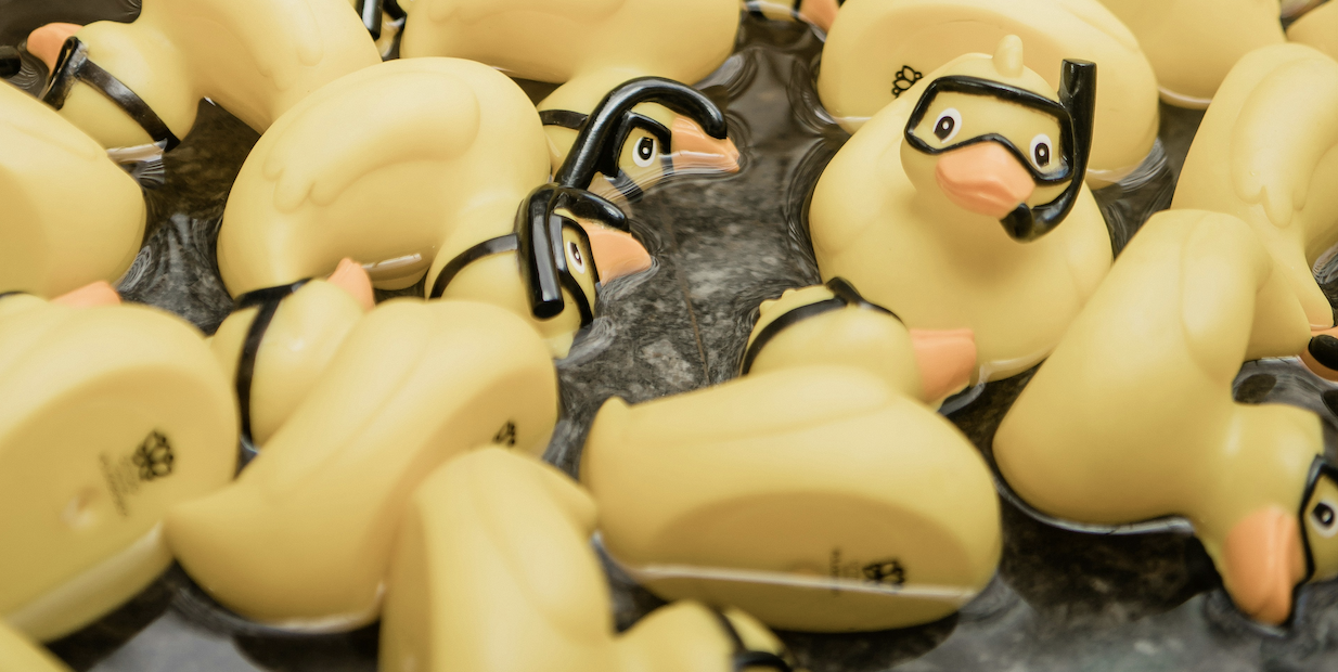 The Messy Middle of Transformation: Hard Lessons That Make The Work Actually Work