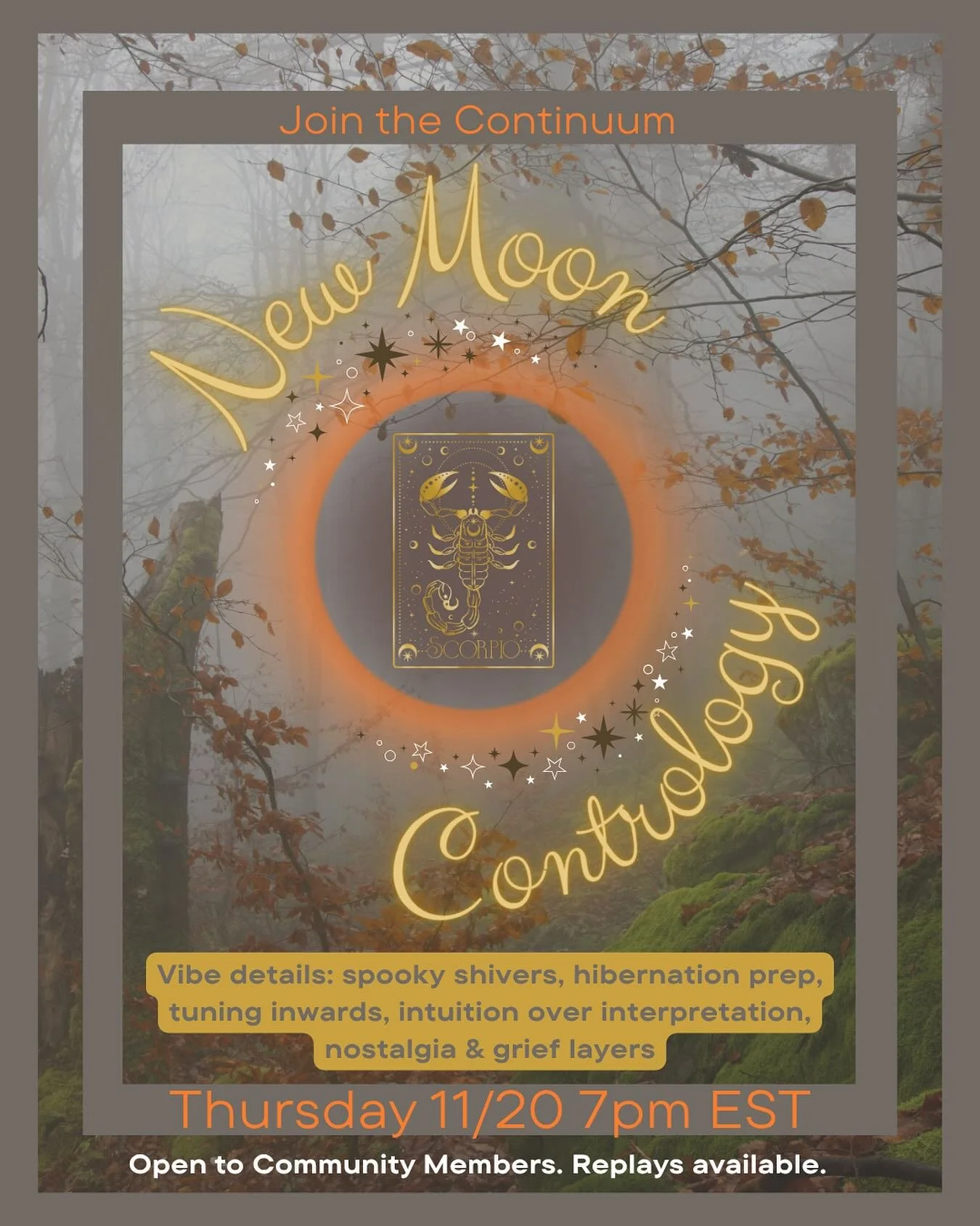 Join the Continuum community for deep autumn vibes at our New Moon in Scorpio class on Thursday November 20th, at 7p EST. 🌚🦂 As the temperatures drop and the sun retreats find some comfort and grounding at this foundational level classical Pilates 