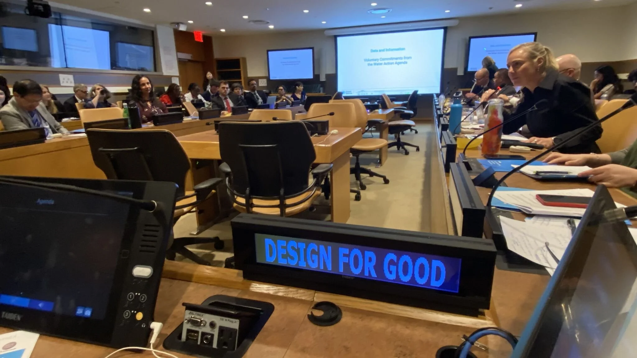 Design for Good Trustee Sandy Speicher joins UN water and sanitation event