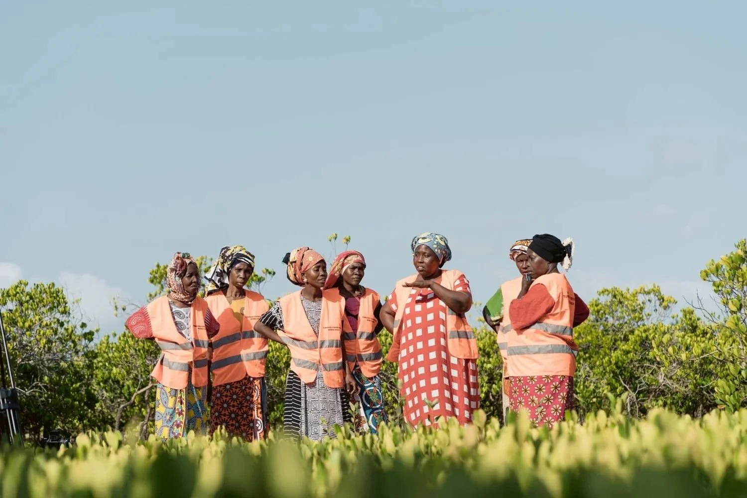 Designing to Raise Awareness of Local Conservation Efforts
