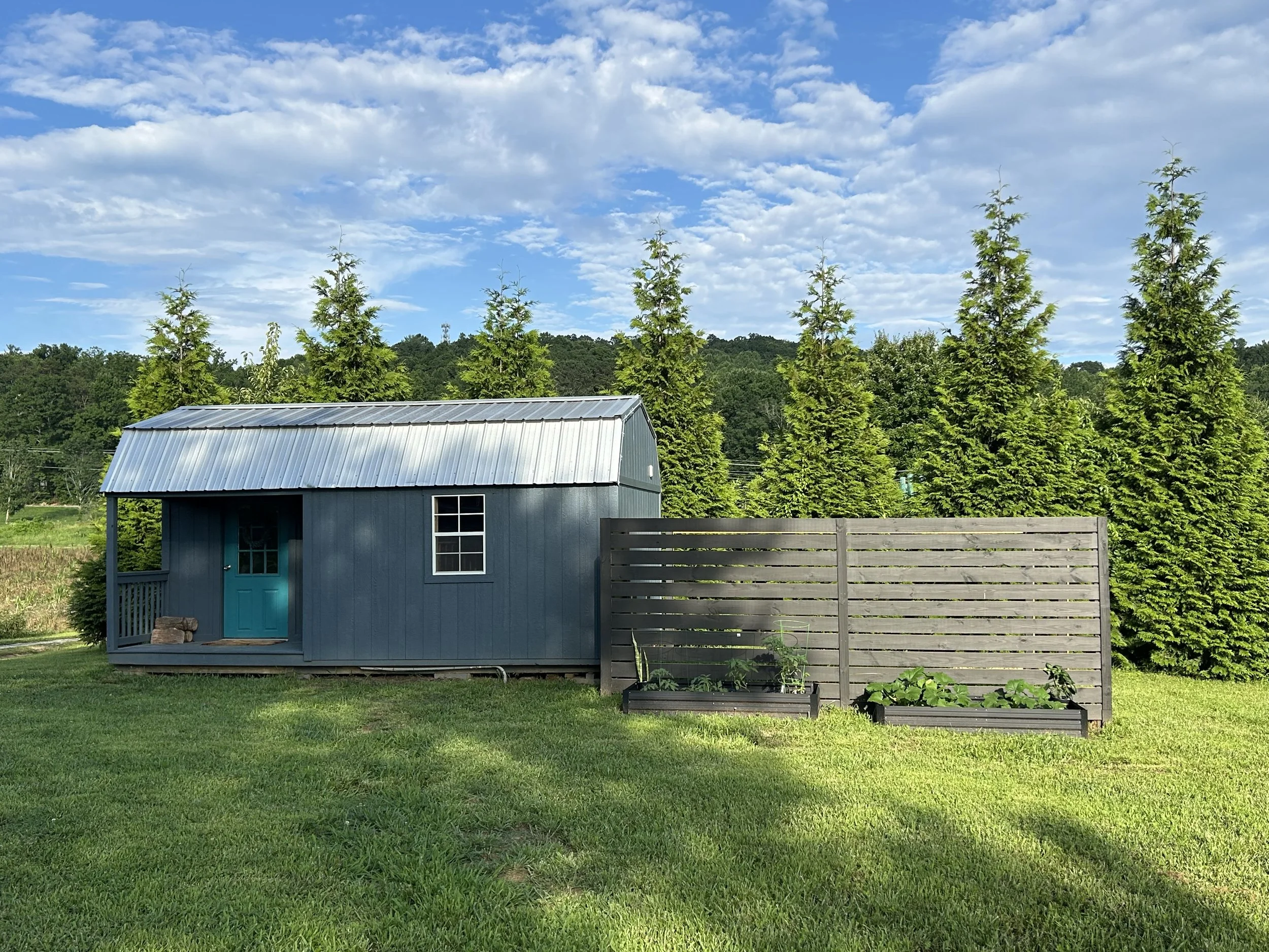 Shed/fence build.