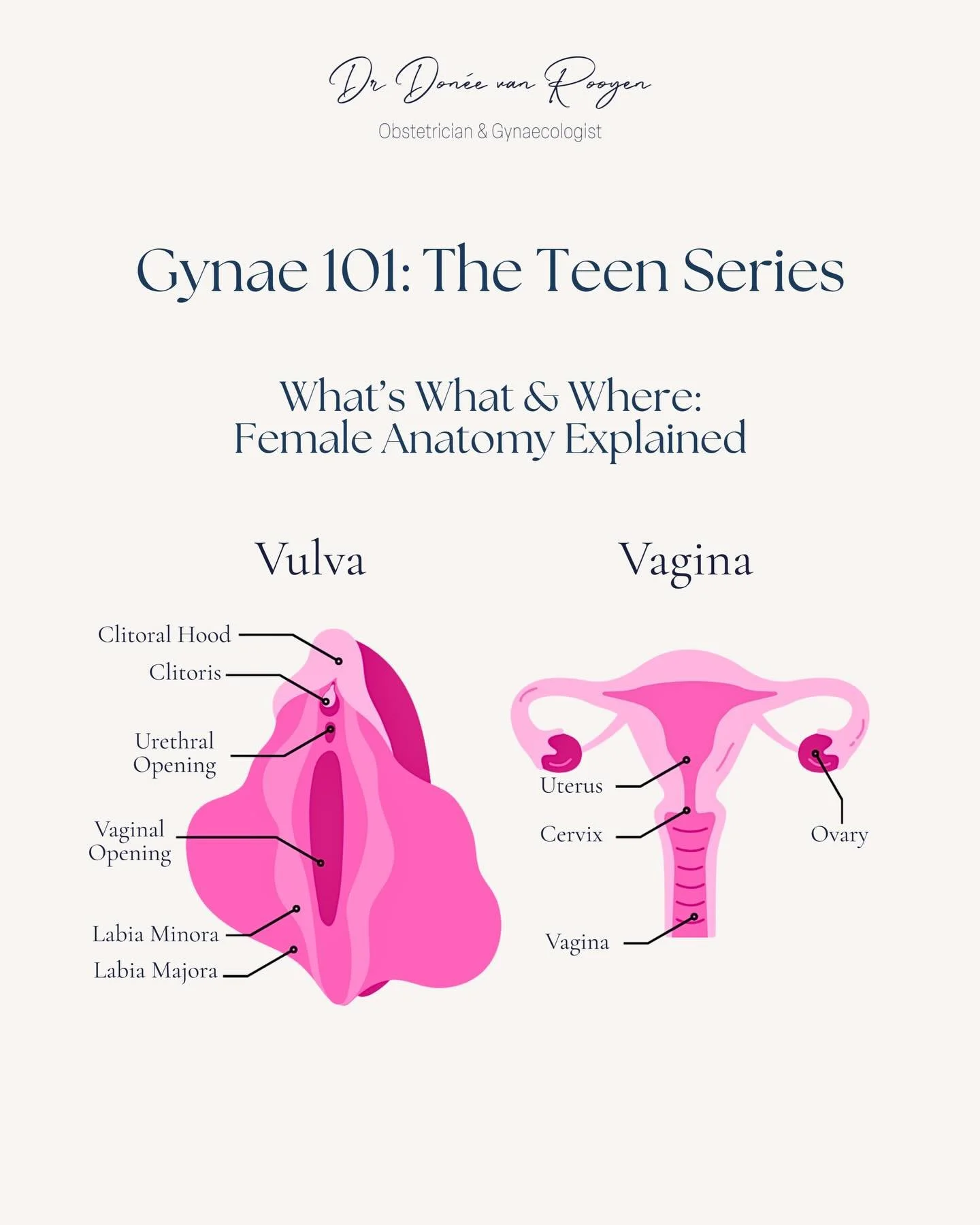 Let&rsquo;s get something straight: your vagina is not the same as your vulva and learning the correct names for your body parts isn&rsquo;t just smart, it&rsquo;s empowering. 👏

With so much misinformation out there, many girls grow up confused or 
