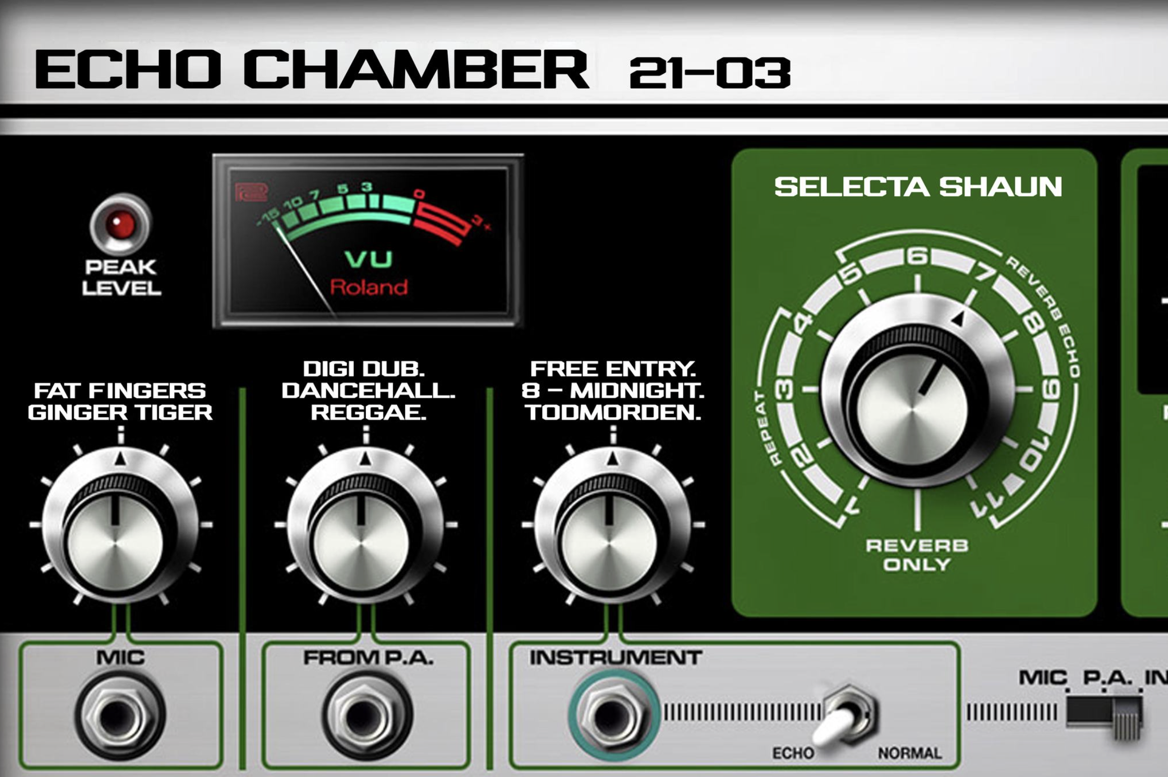 ECHO CHAMBER W/ SELECTA SHAUN