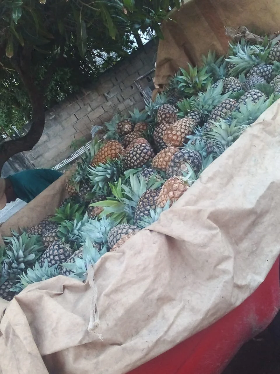 November Farmer’s Market