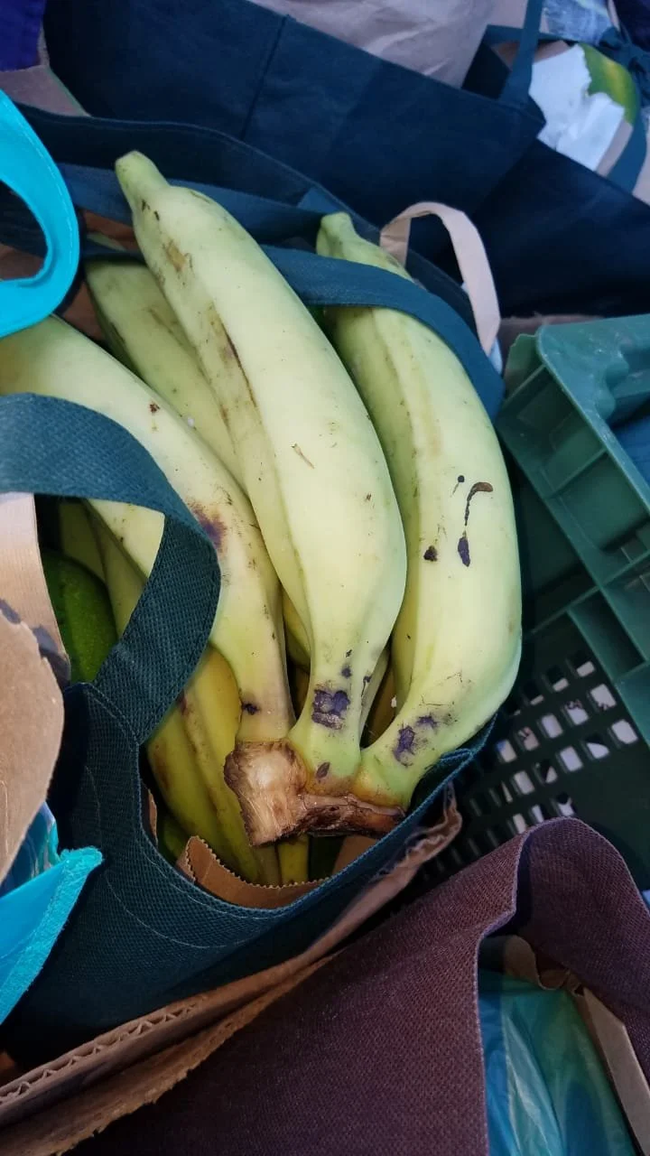 July Farmer's Market