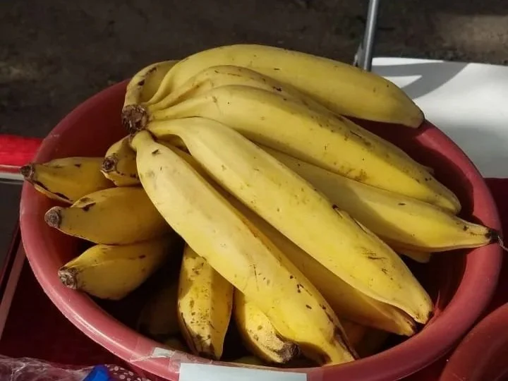 August Farmer’s Market