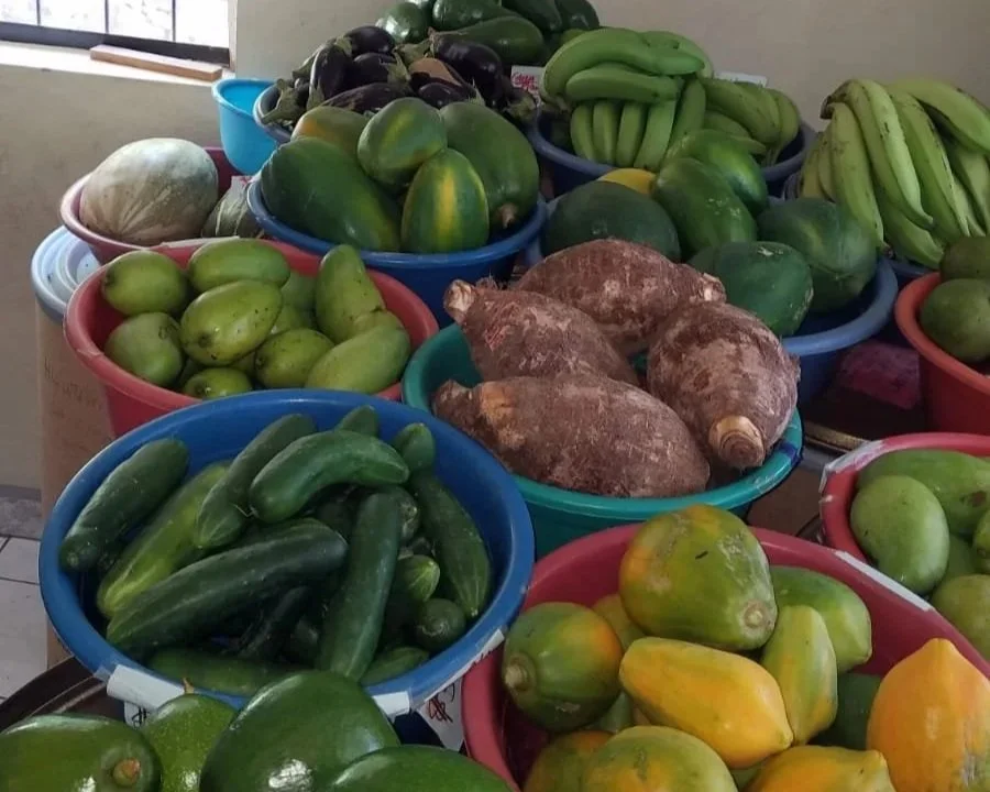 August Distribution Day
