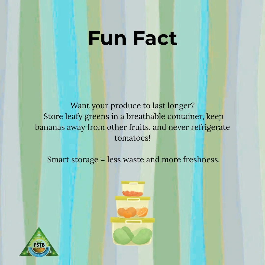 Eat fresh, store smart.

#FromSoiltoBoil #KitchenTips #ReduceFoodWaste #FreshLifeHacks #ProduceStorage #SustainableLiving