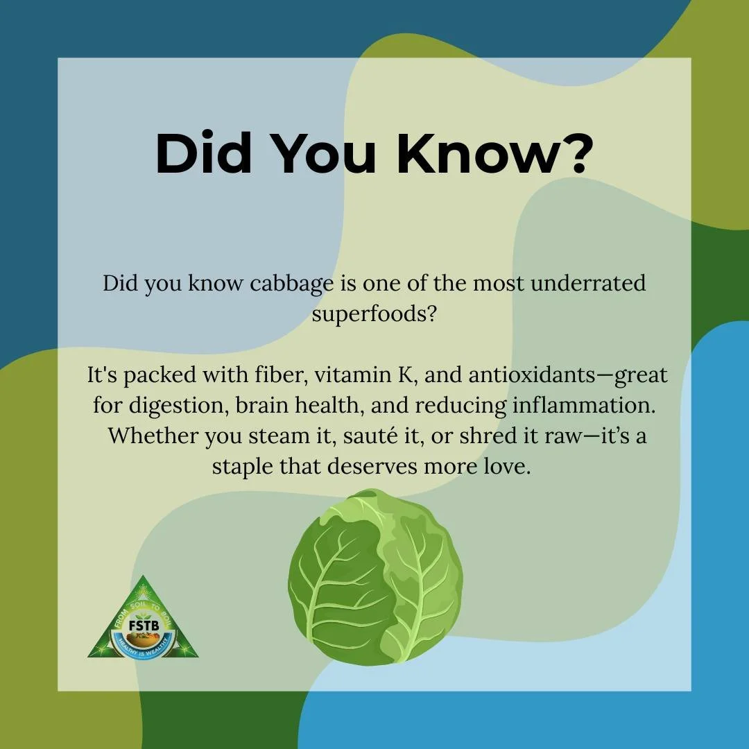 Simple, versatile, and powerful&mdash;cabbage is the quiet hero of your produce bag.

#FromSoiltoBoil #CabbageBenefits #SuperfoodSimple #GutHealth #HealthyEatingMadeEasy #EatGreenLiveClean