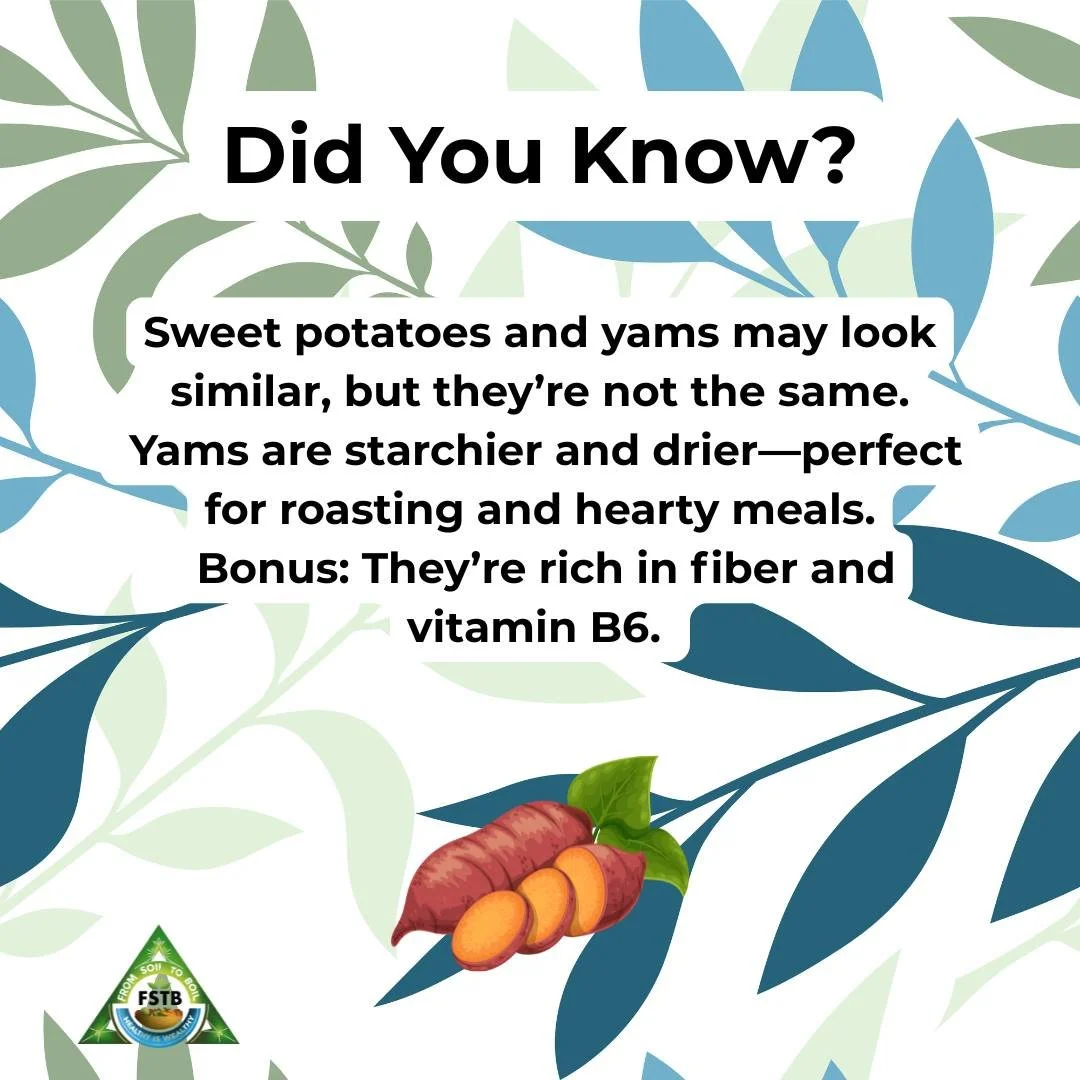 Root veggies with real staying power.

#FromSoiltoBoil #YamFacts #RootVegetables #FarmFreshFuel #EatLocalRoots #WholesomeTradition