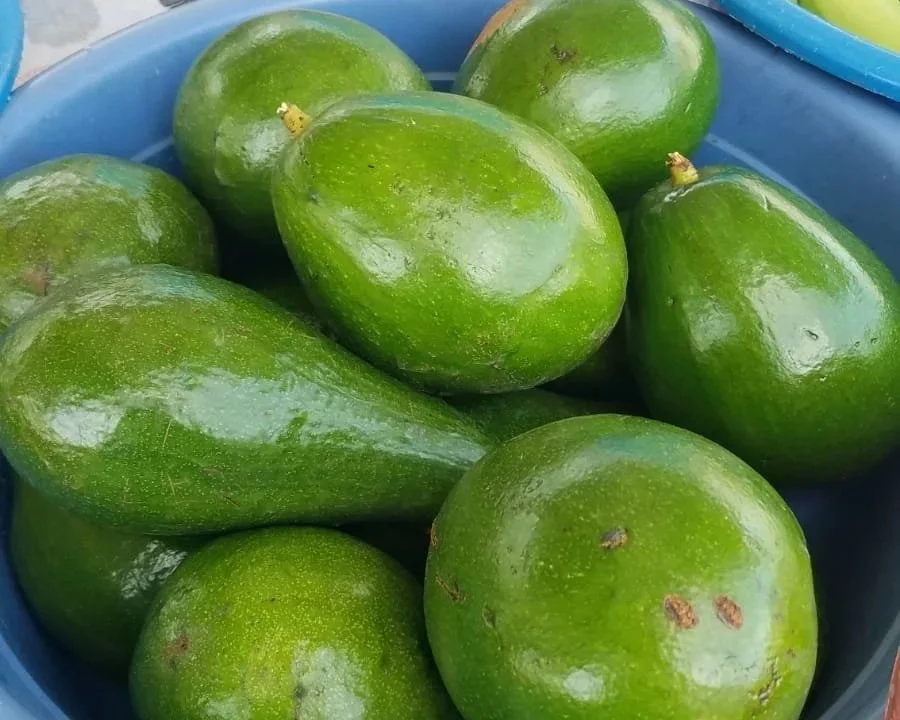 August Farmer’s Market