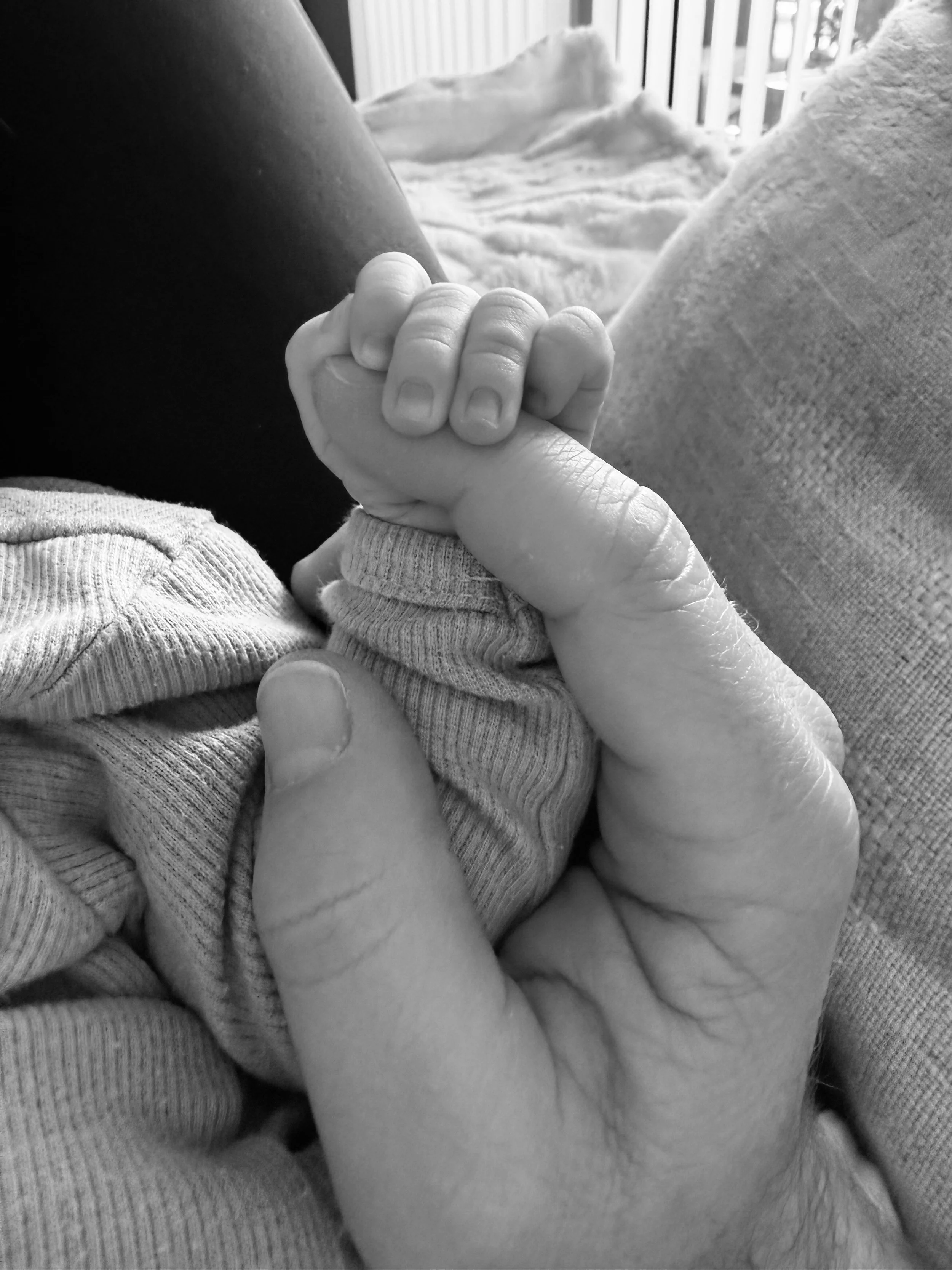 We're Back! A Heartfelt Apology and a Joyful Announcement