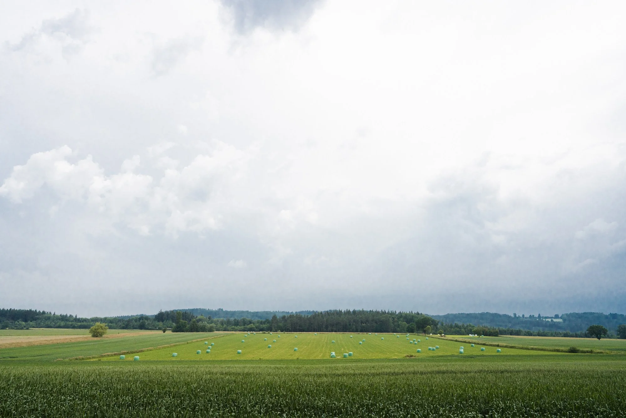 _A7R3803.jpg
