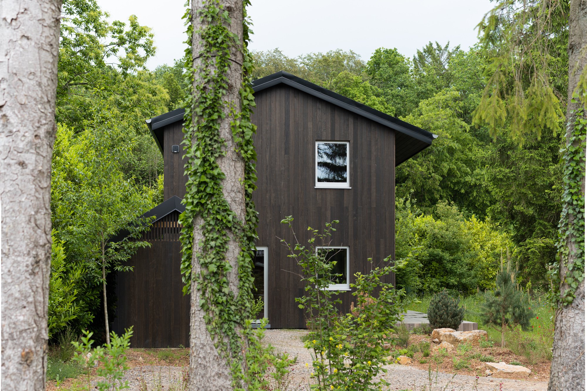 A modern dark wooden house surrounded by green trees and plants.