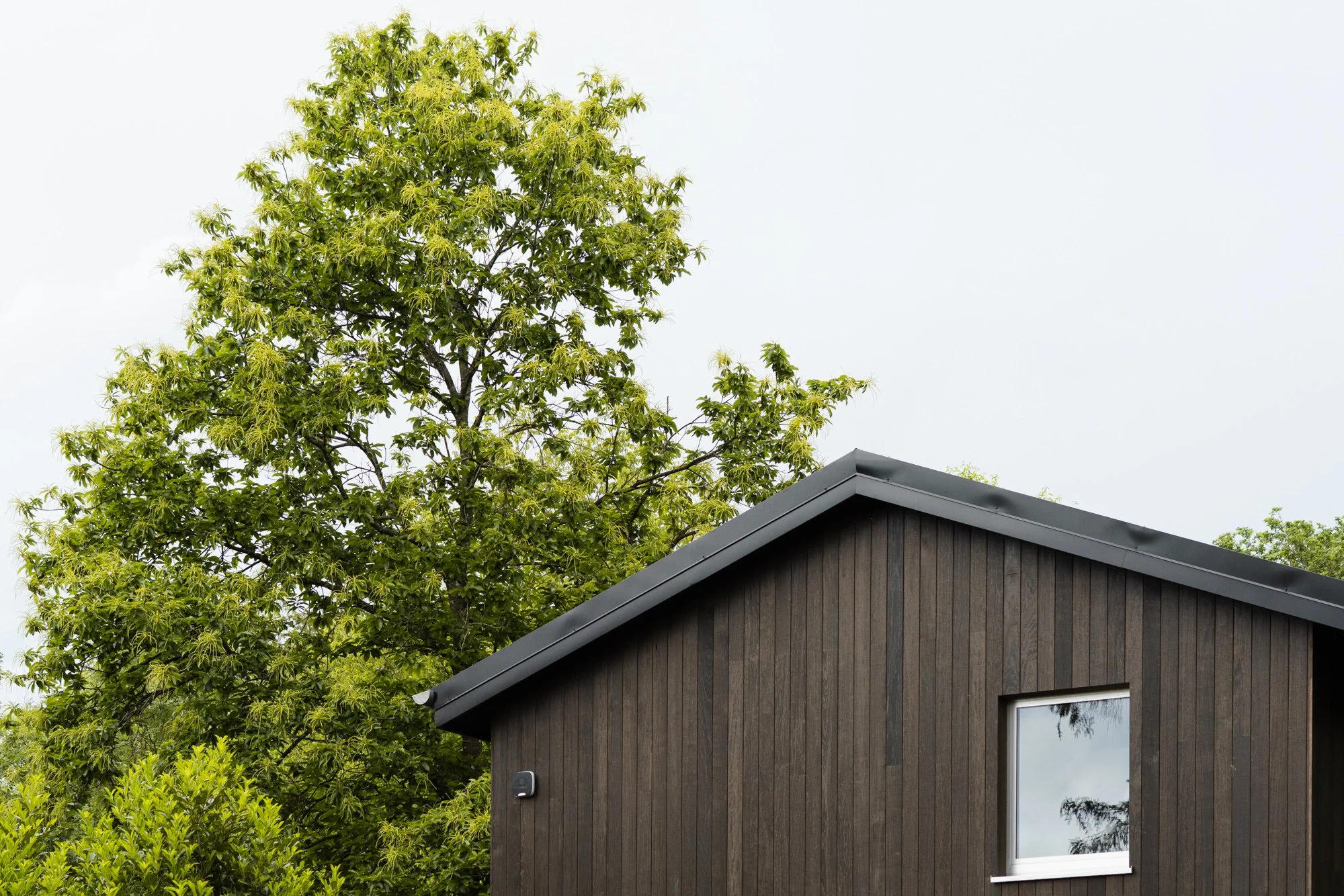 A black house with a sloped roof and a window reflecting trees, adjacent to a large green tree with blooming leaves, against a light cloudy sky.
