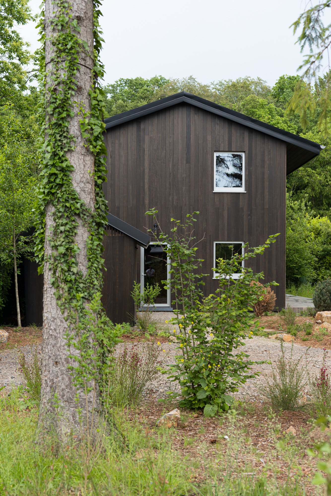 A modern house with dark wood exterior and a metal roof, surrounded by trees and greenery, with a small garden and plants in the foreground.