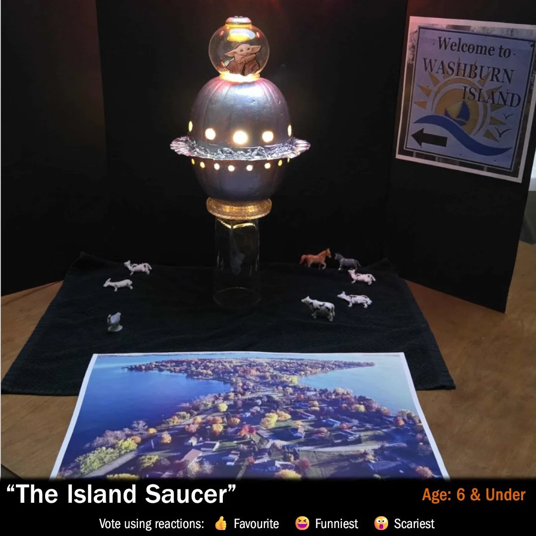 5-TheIslandSaucer.jpg