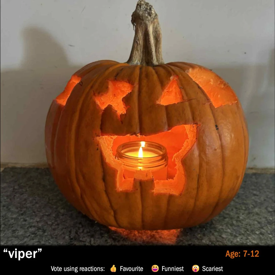 21-viper.jpg