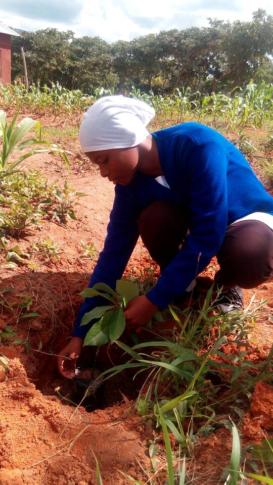 WhatsApp Image 2018-03-08 at 18.03.58.jpeg