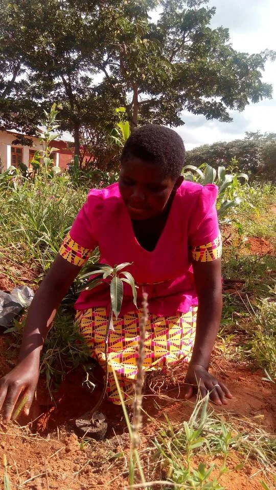 WhatsApp Image 2018-03-08 at 18.03.59.jpeg