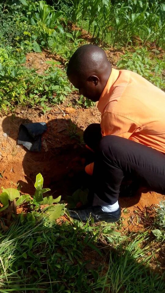 WhatsApp Image 2018-03-08 at 18.03.57.jpeg